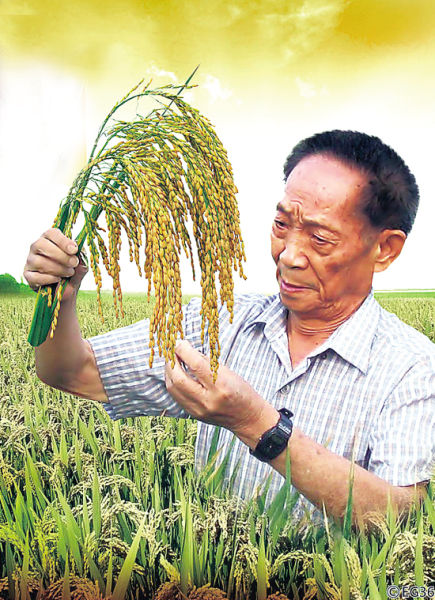 2021年3月10日，袁隆平先生在三亚杂交稻研究基地摔跤后逝世！！！