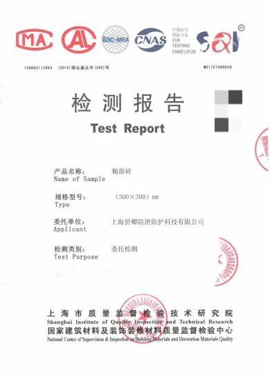 技术检测报告1